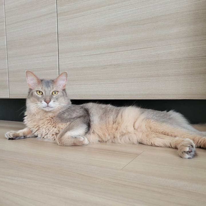 Fe8385d3 ffb4 4de9 93ca 86dcc272d180 1658019740292