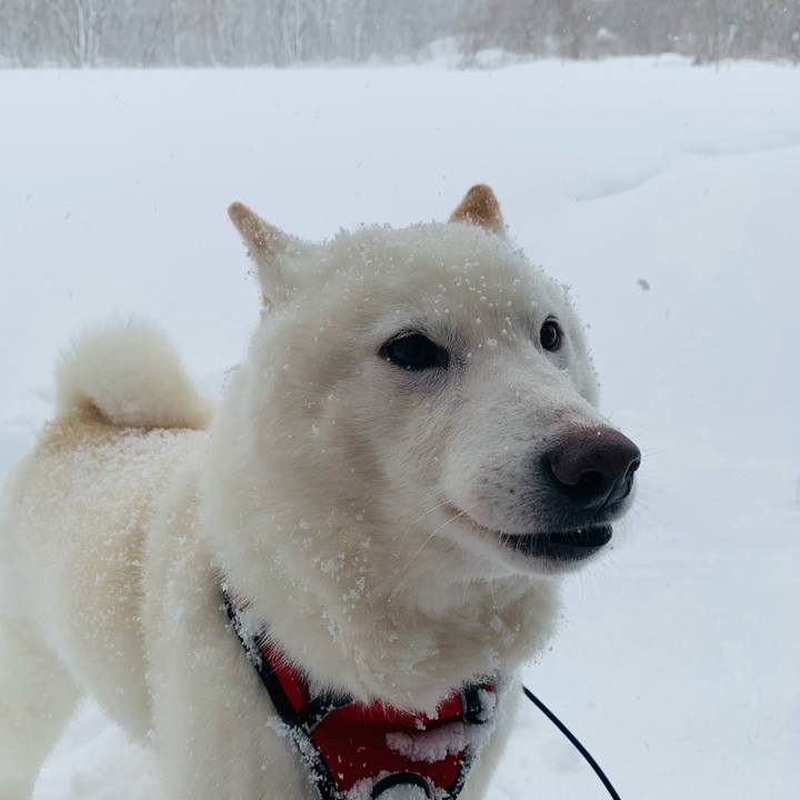 Fe838ec8 19e9 4b20 933f 14bf5d5e290e 1642152163748