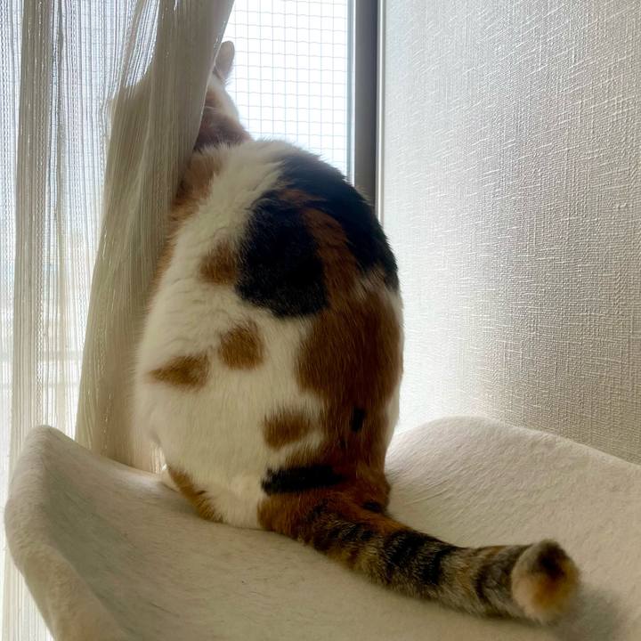 Fe83abe7 da73 468d b4f1 7e34b22e9df8 1702942390774