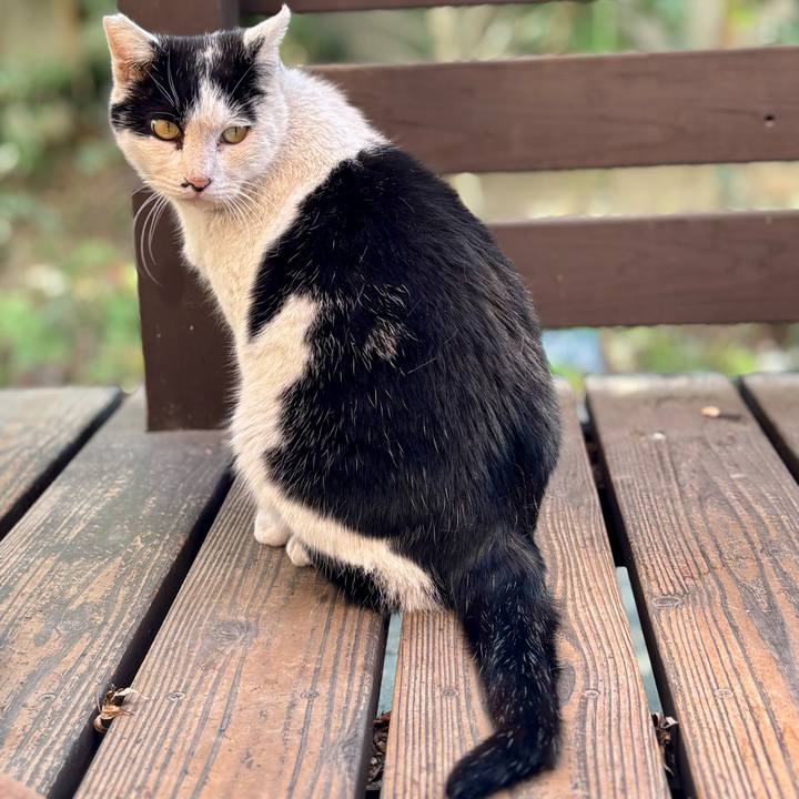 Fe83c728 ae2b 4181 9f65 7e0be7995afa 1773378854214