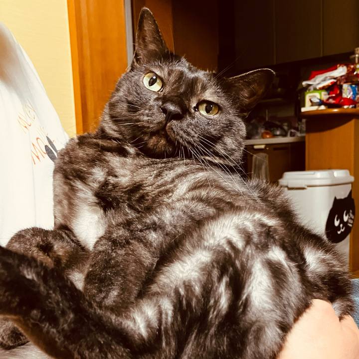 Fe83d6b2 b351 4ad3 97ef 69f33f39b81d 1747485577463