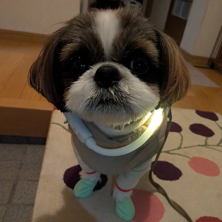 Fe83f653 6cc2 4321 a4e7 54882ad60323 1770386396718