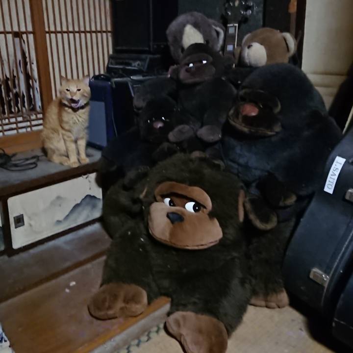 Fe842103 839a 4efb ac00 14904c71ba97 1660737271780