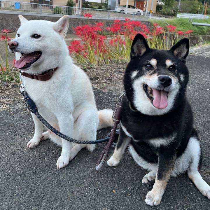 Fe84820a fbbd 4abe b4c4 528834d24610 1663759871225