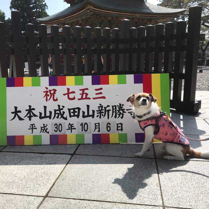 Fe848584 405c 4c2b 8ae2 9c4d56316810 1538808886266