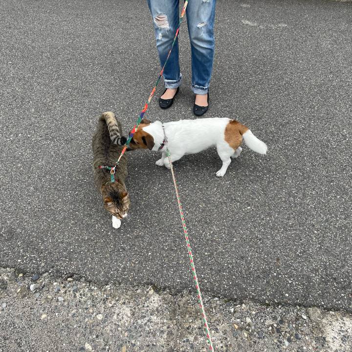 Fe84eaec 3af0 4d22 87ad dd09c0bece4a 1744499837979