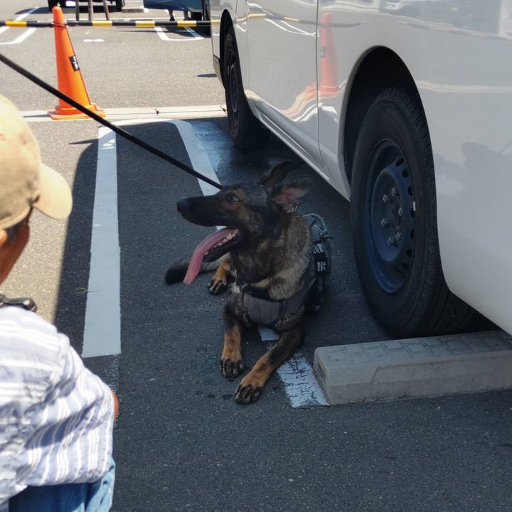 Fe850362 f7d9 4808 9785 a09ffa4c6261 1692510744876