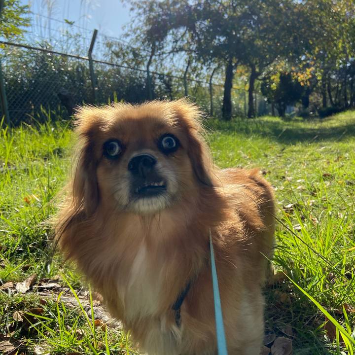 Fe853d22 1055 4472 b063 a74824b04683 1603585261390