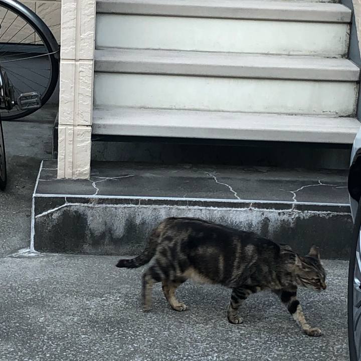 Fe853f02 aad5 4786 bf3a d18b786e690b 1560856131228