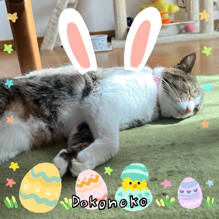 Fe854600 9266 46b2 85a7 ef05d64ca0ef 1712598922456