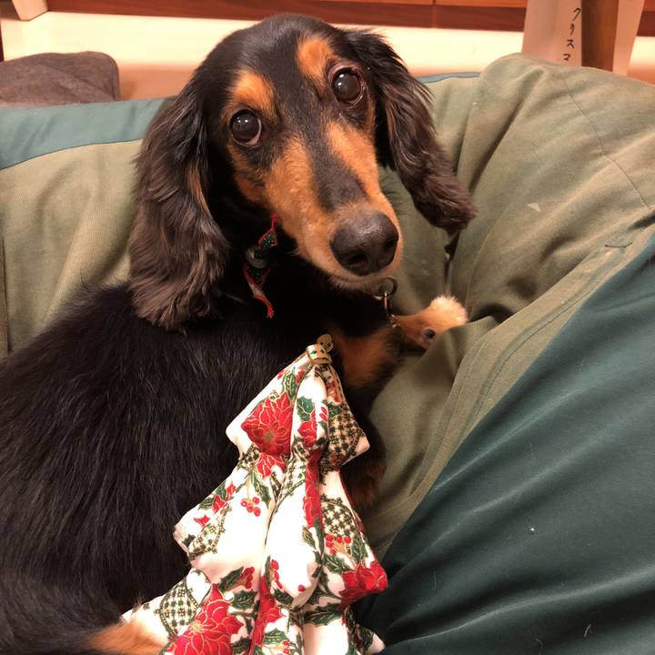 Fe8551f8 d3ef 40fd ab0d ade948b45894 1545662649391