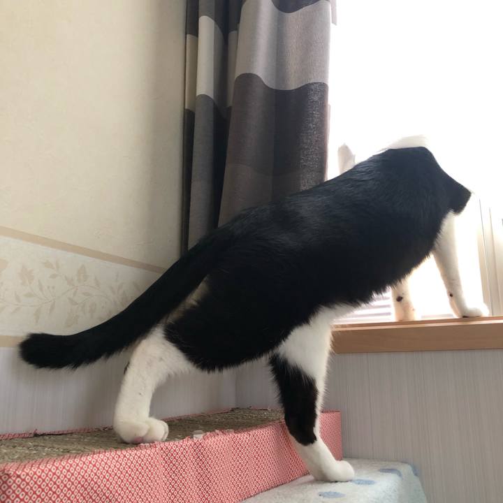 Fe856ebe acc3 46cb 970e efea10cd91e6 1562445385131