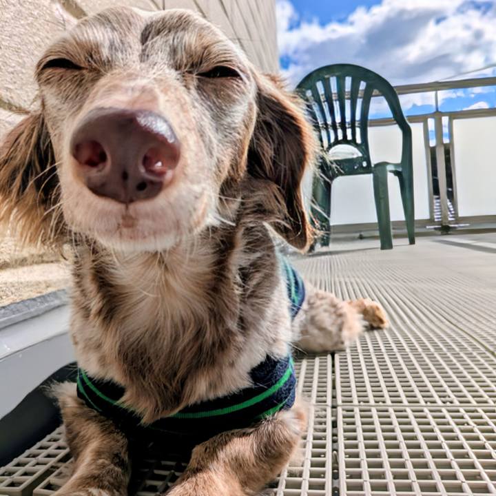 Fe857b83 50b6 4831 8a63 1642236cc33c 1761619141172