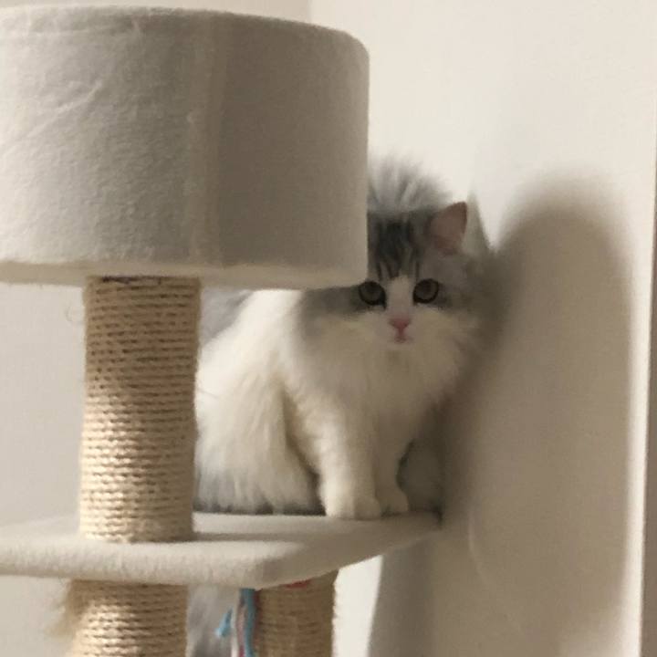 Fe85939d 8950 4c95 9b3d 390a545476f9 1556282235366