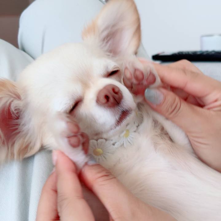 Fe85df41 8c9e 4bbf 84a3 1183a8ed89aa 1690634068059