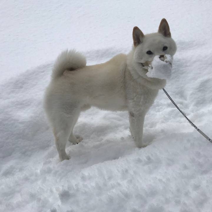 Fe863592 f68d 4e9b a598 922f07a9eff5 1690370960395