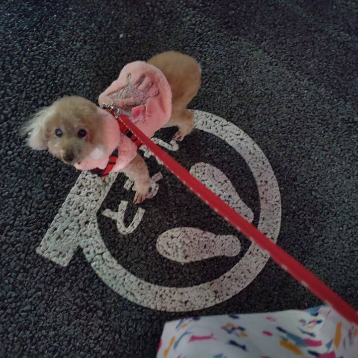 Fe8641ed 6d8f 47fd bf9f 204147fd84d7 1671368875515