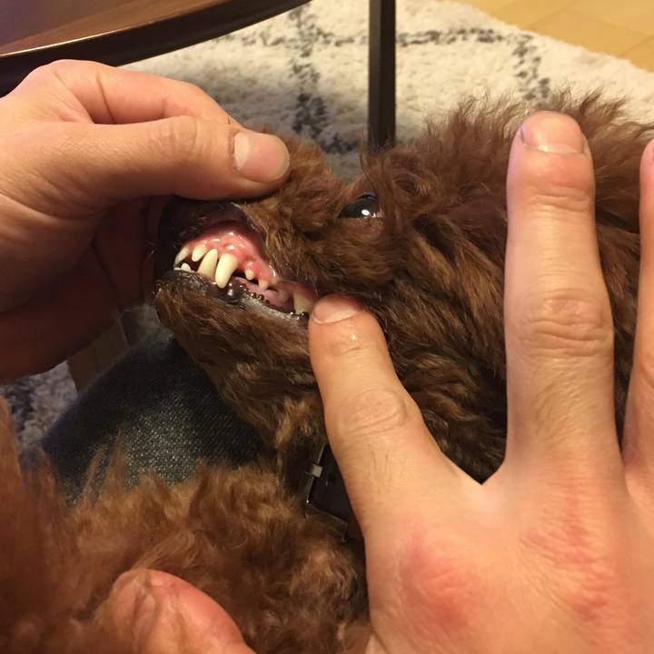 Fe865137 7c04 47c8 b873 e643045c7905 1509535777170