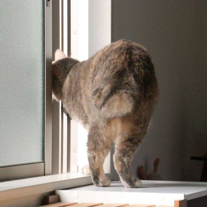 Fe868ec2 e727 40b1 9371 f77c0b9c83c6 1547780264556