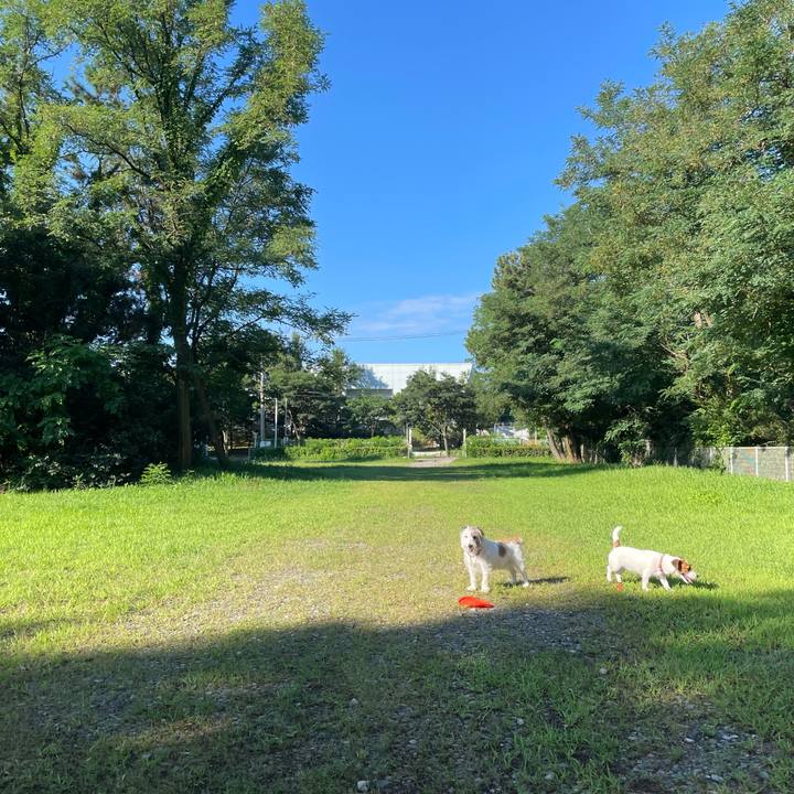 Fe86a51f 0167 41f8 ab29 6f60651520fe 1661123975604