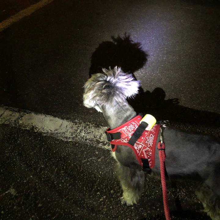 Fe86e82c e255 471d a0d3 407b78be8152 1532787113162