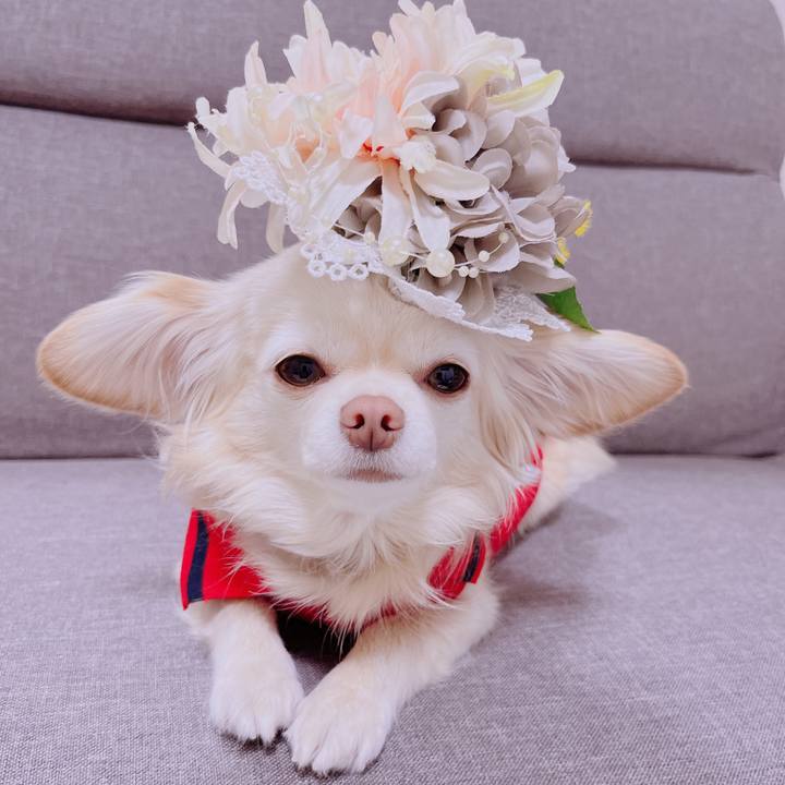 Fe8714f1 967a 42b1 9732 f2d73d4477a2 1677241848347