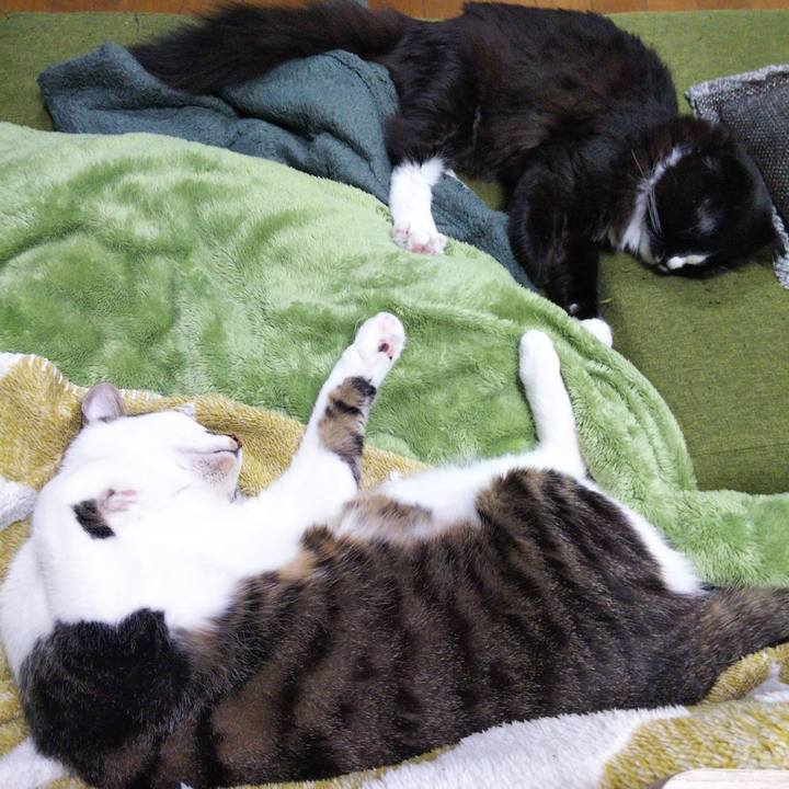 Fe871c20 ab3b 41d4 b485 174f07317752 1646296831805