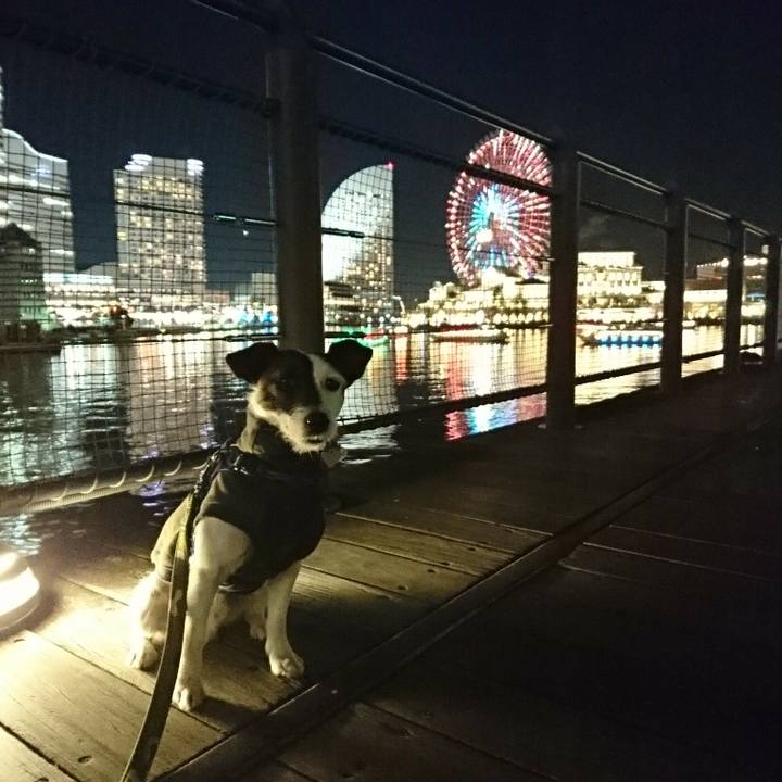 Fe873516 52aa 40ea 8ebd d352237cb7eb 1512817549476