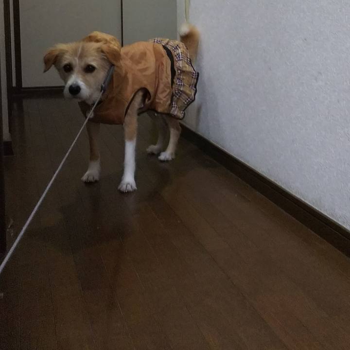 Fe873f82 431b 4842 9bf8 ef59bce7bb83 1528264868684