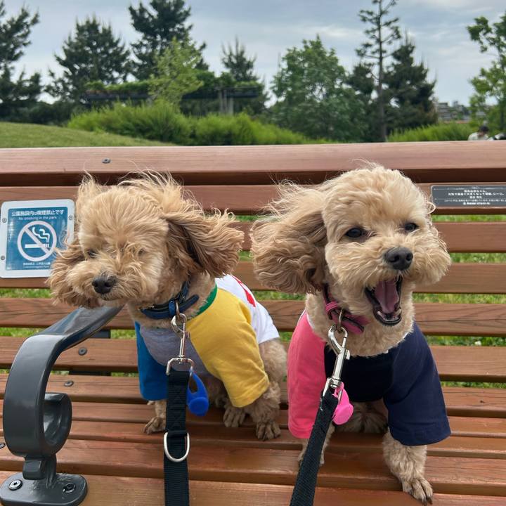 Fe8741c7 be01 408f b3b1 92e90e3c91e3 1714980250601