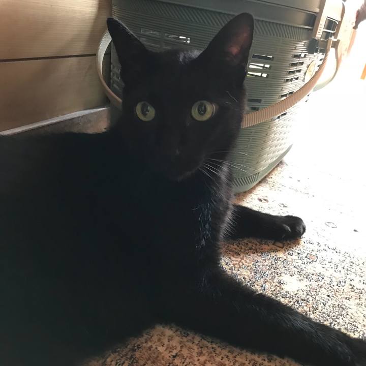 Fe87568e b0cb 4905 bcad e3b9dfeb54cc 1533430917583