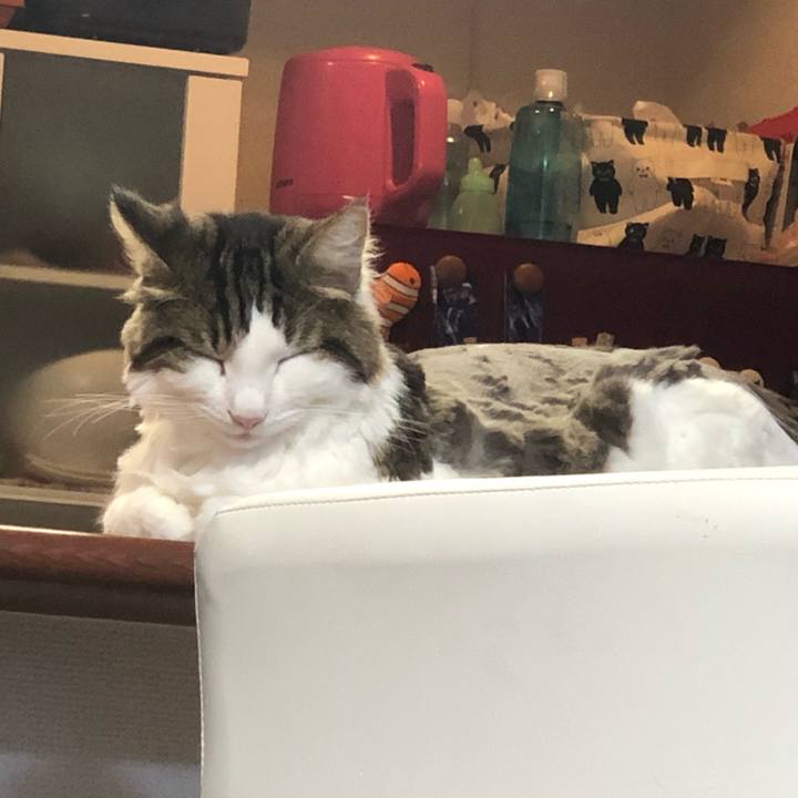 Fe87785f c9d4 45b7 ae2e 072c36945b88 1564828801685