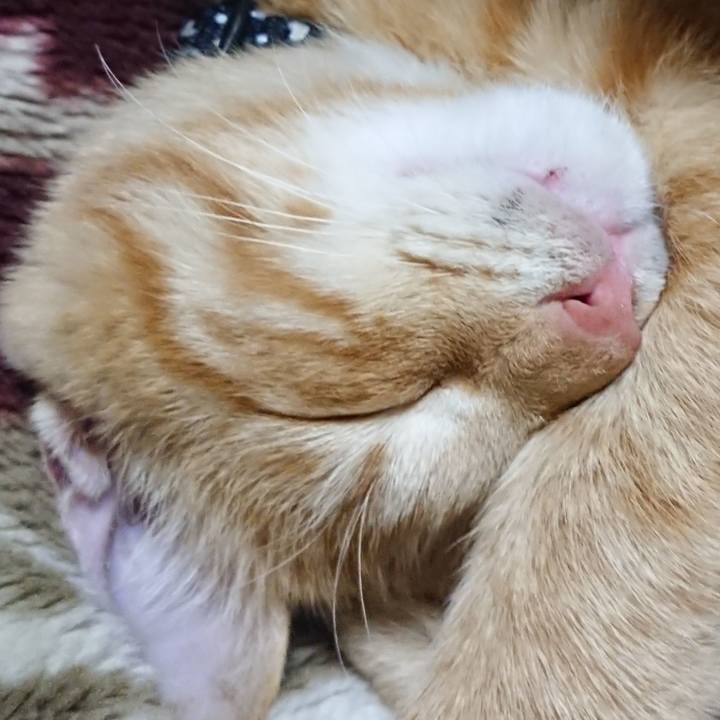 Fe87dab5 fe72 4a16 8f9a ce67aea2df37 1634993817460