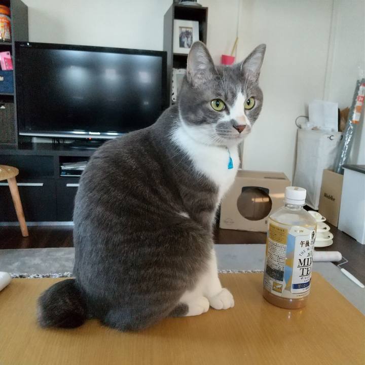 Fe8816c4 f9fa 4895 a76f 264a2ab6a5aa 1612051502955