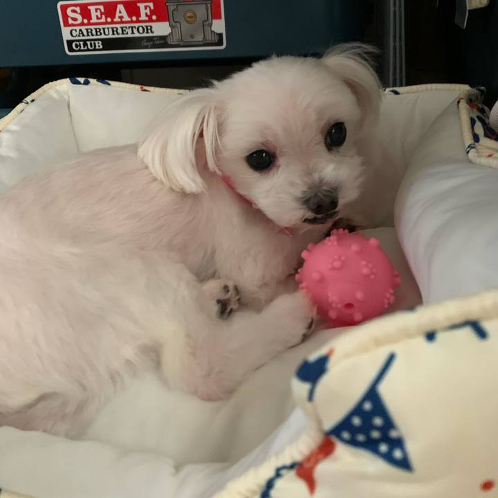 Fe883c7f c7ff 41d6 835a f6c4292f487e 1686177428012