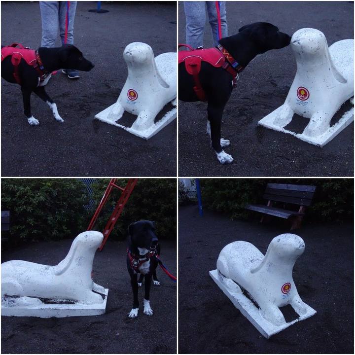 Fe8845a5 db73 4221 b5df ccb44e01c9d0 1587205115885