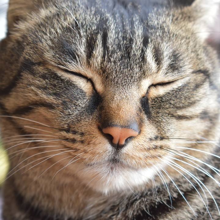 Fe887cd9 8f28 4f60 be99 47756a46fba4 1582260531137