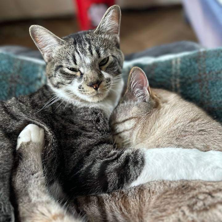 Fe888364 eb06 422a b43f ceef300f1fde 1685624552911