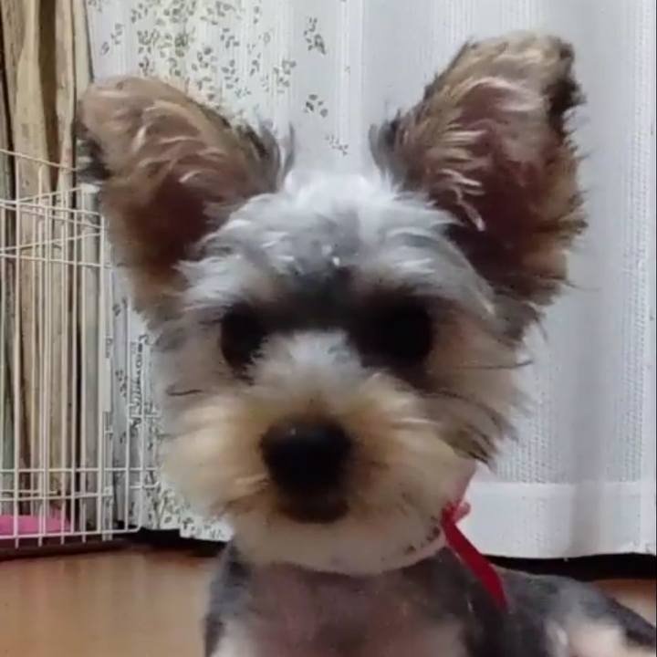 Fe889cc8 833f 4fb4 9568 012104681930 1536209345513