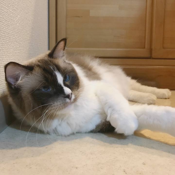 Fe88b02f 0a51 4f76 82c3 b342a23e0bcf 1508230261553