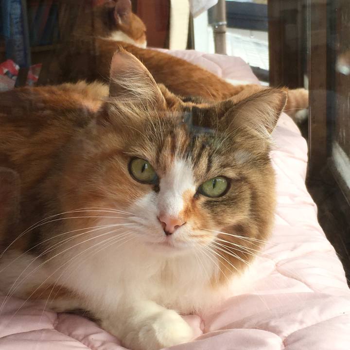 Fe88b8fb f758 4108 b047 2eb1461876e4 1577697360709