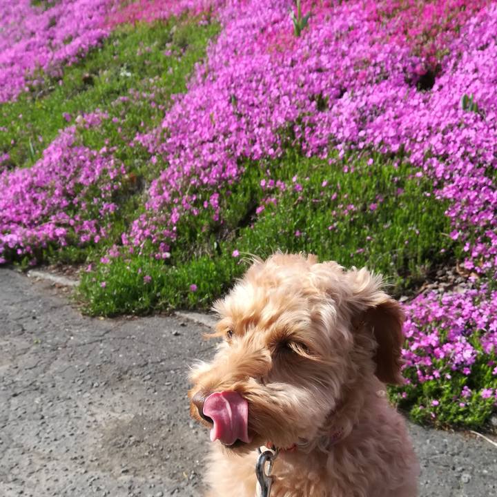 Fe88c583 9133 454f 92e4 51da7c72cc9b 1557535052055