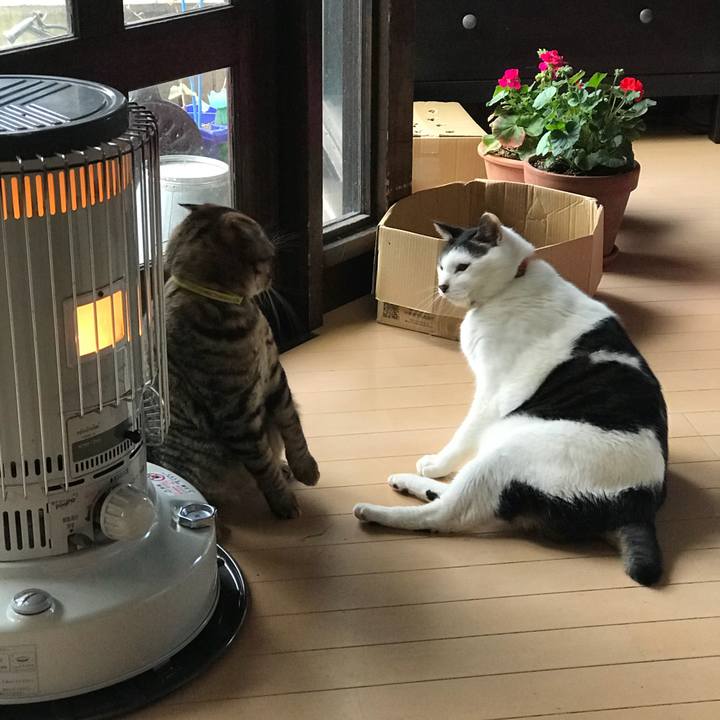 Fe88dd08 2b93 4e7b 99cb 696d1daac6f4 1518996294710