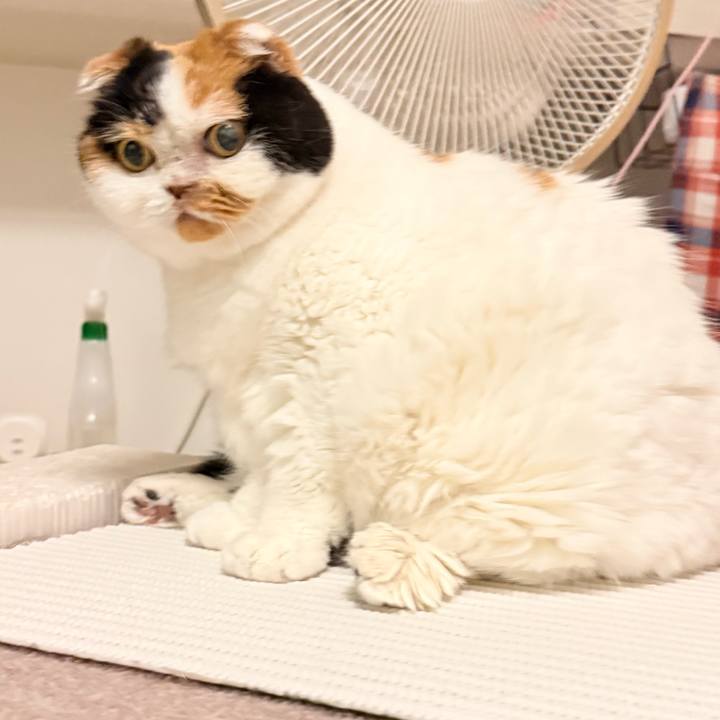 Fe8904b7 cb1d 4572 8b40 22f1a3e6671a 1759891009225