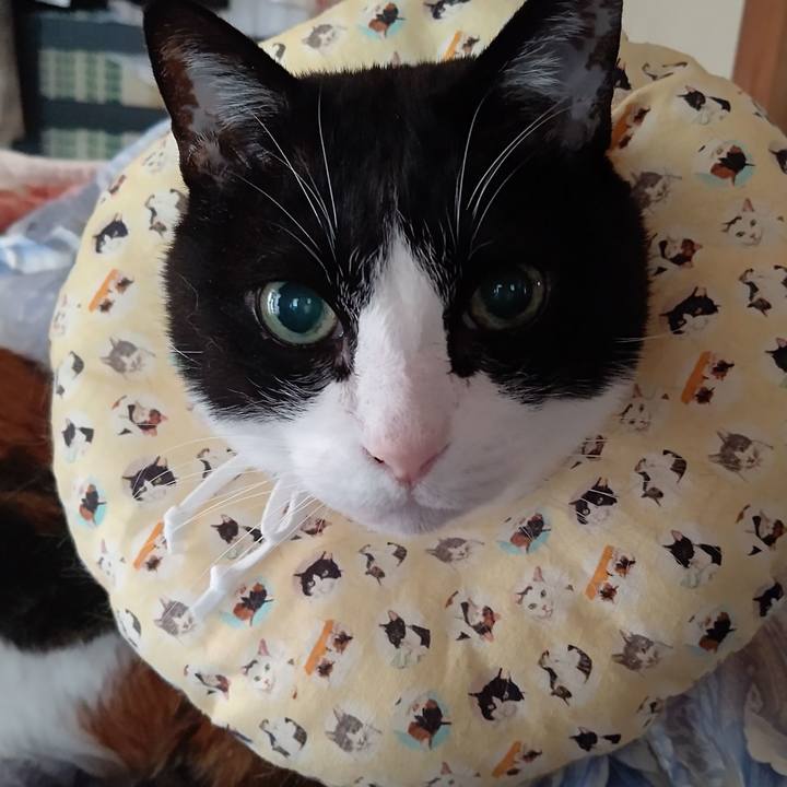 Fe892529 1241 4e90 a8f8 1fae415462e2 1645828310458