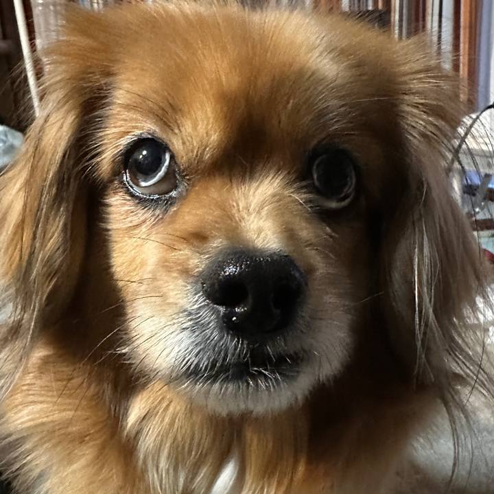 Fe898def de26 46ca a9c6 2c991af5760a 1709068611002