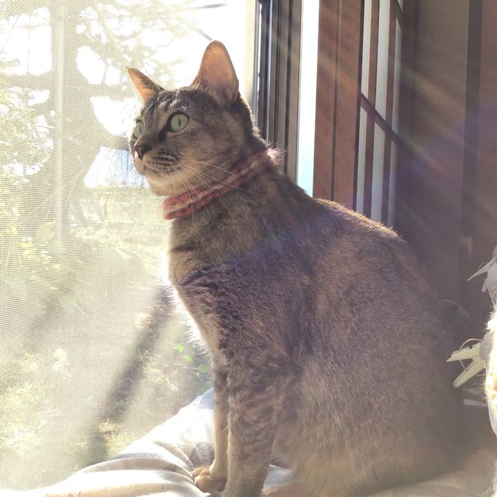 Fe8996d9 f814 41fc 8946 aafdf766b2c8 1633749734949