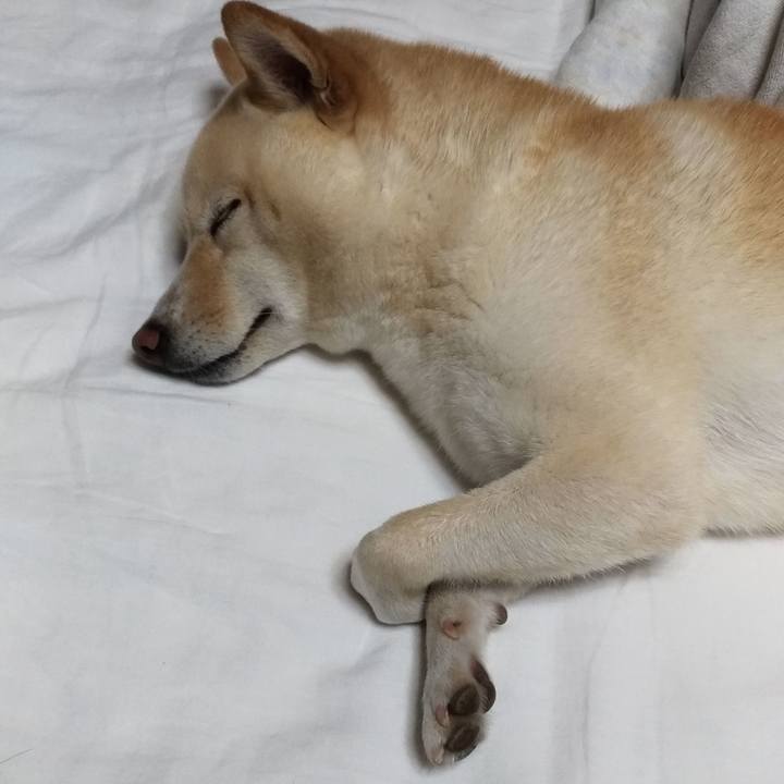 Fe89ac67 179e 48da 9938 74683d7eeba8 1567514152120