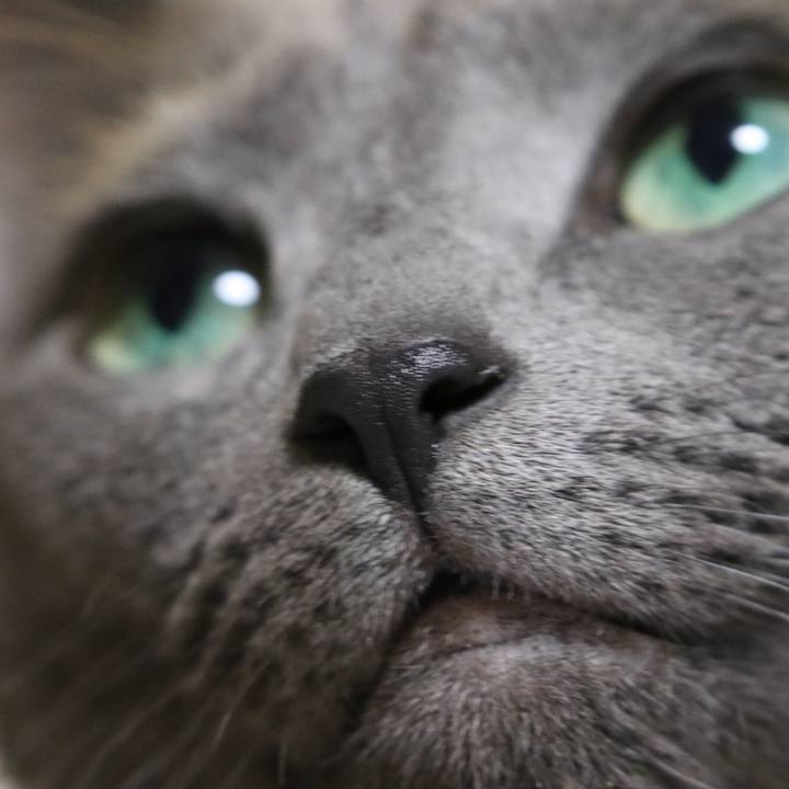 Fe89ae3d a832 4214 bd8e b4038f1ddd13 1510955959219