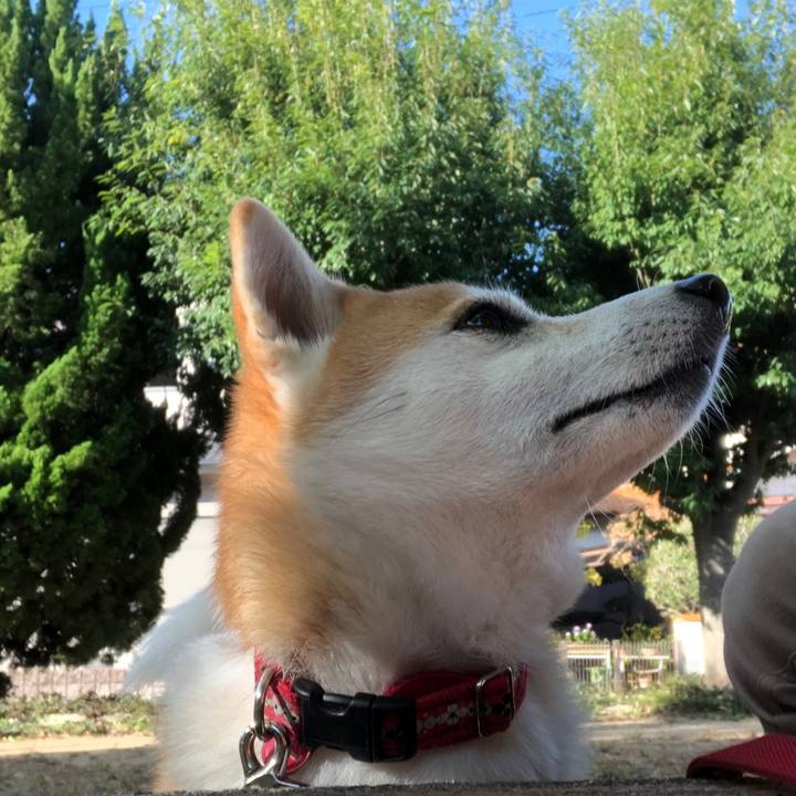 Fe89e9c6 6e44 41fc 8a1e 70e0f2404cec 1573436202267